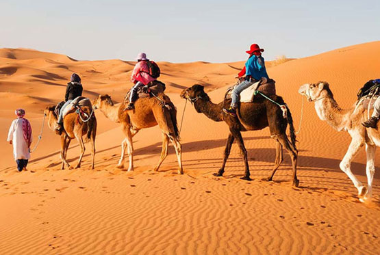 Rajasthan Tour