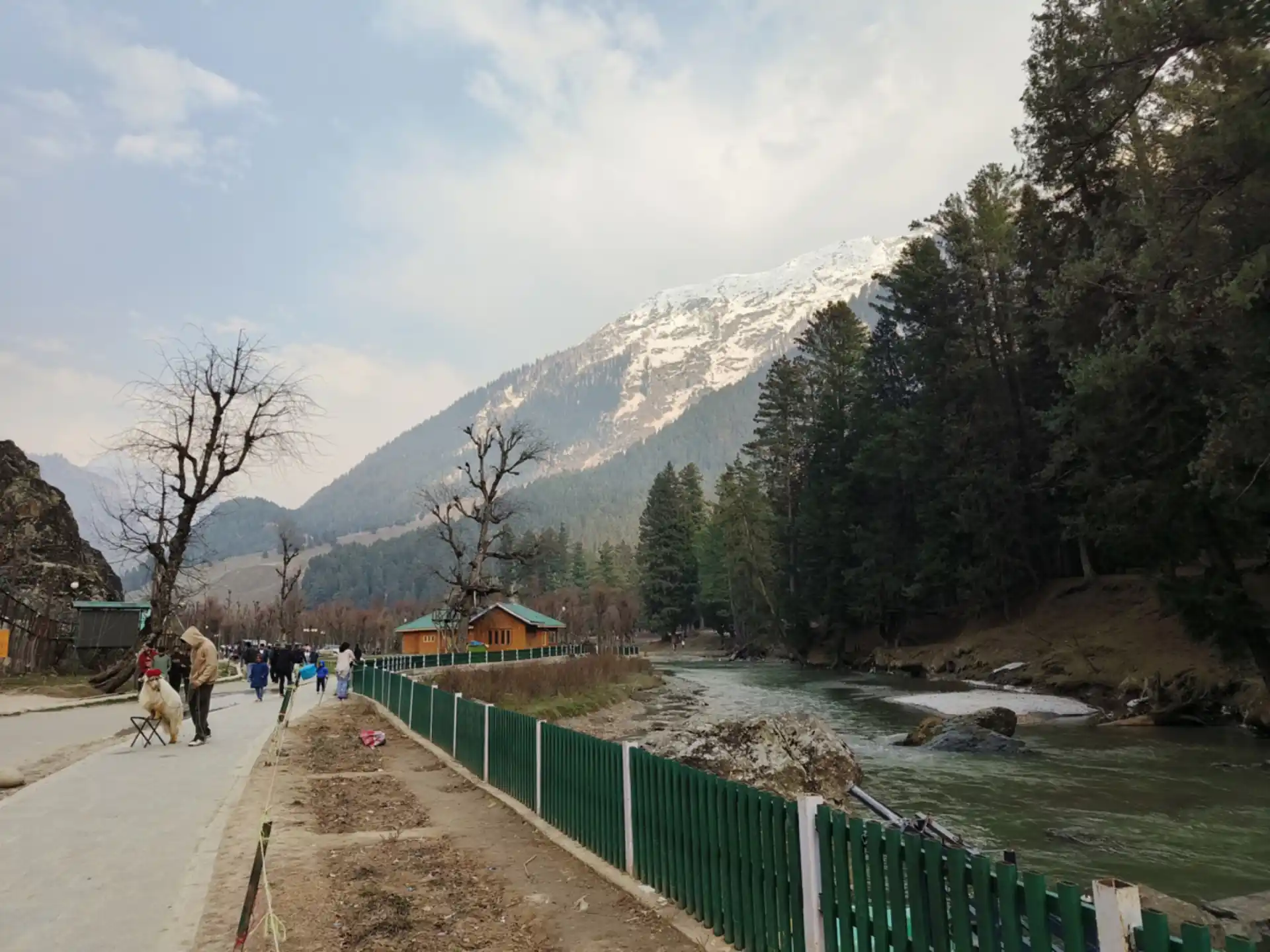 Kashmir Grand Family & Group Tour Special
