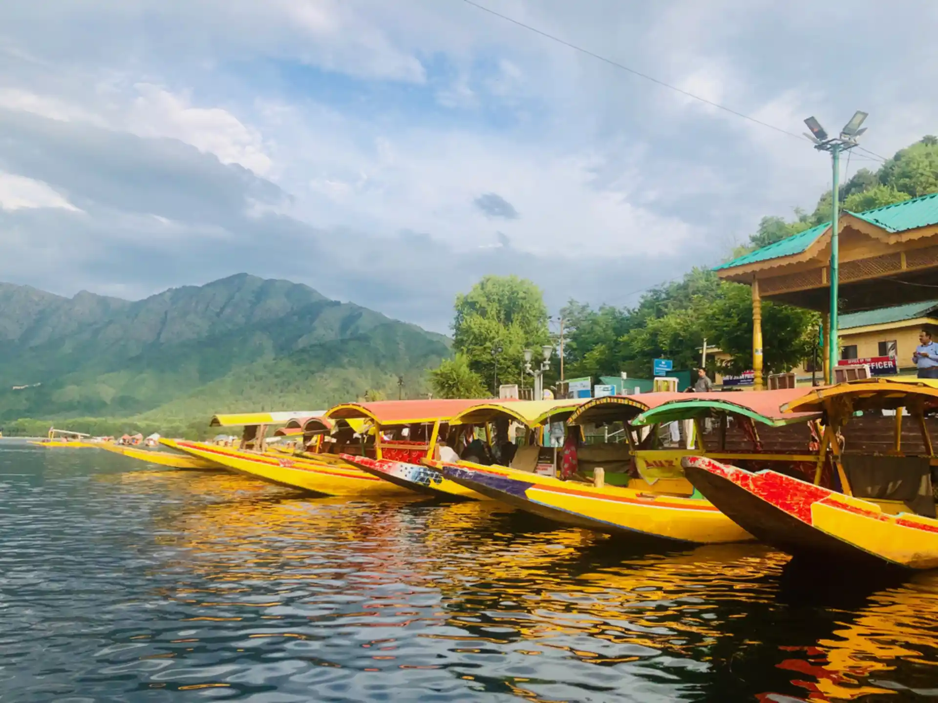 Srinagar Tulip Festival & Spring Valley Tour