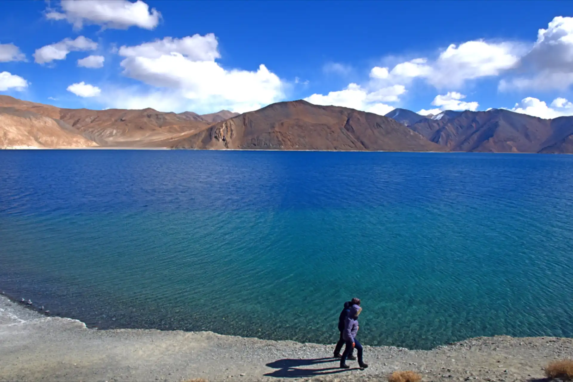 Blue expanse of Pangong Lake, Ladakh