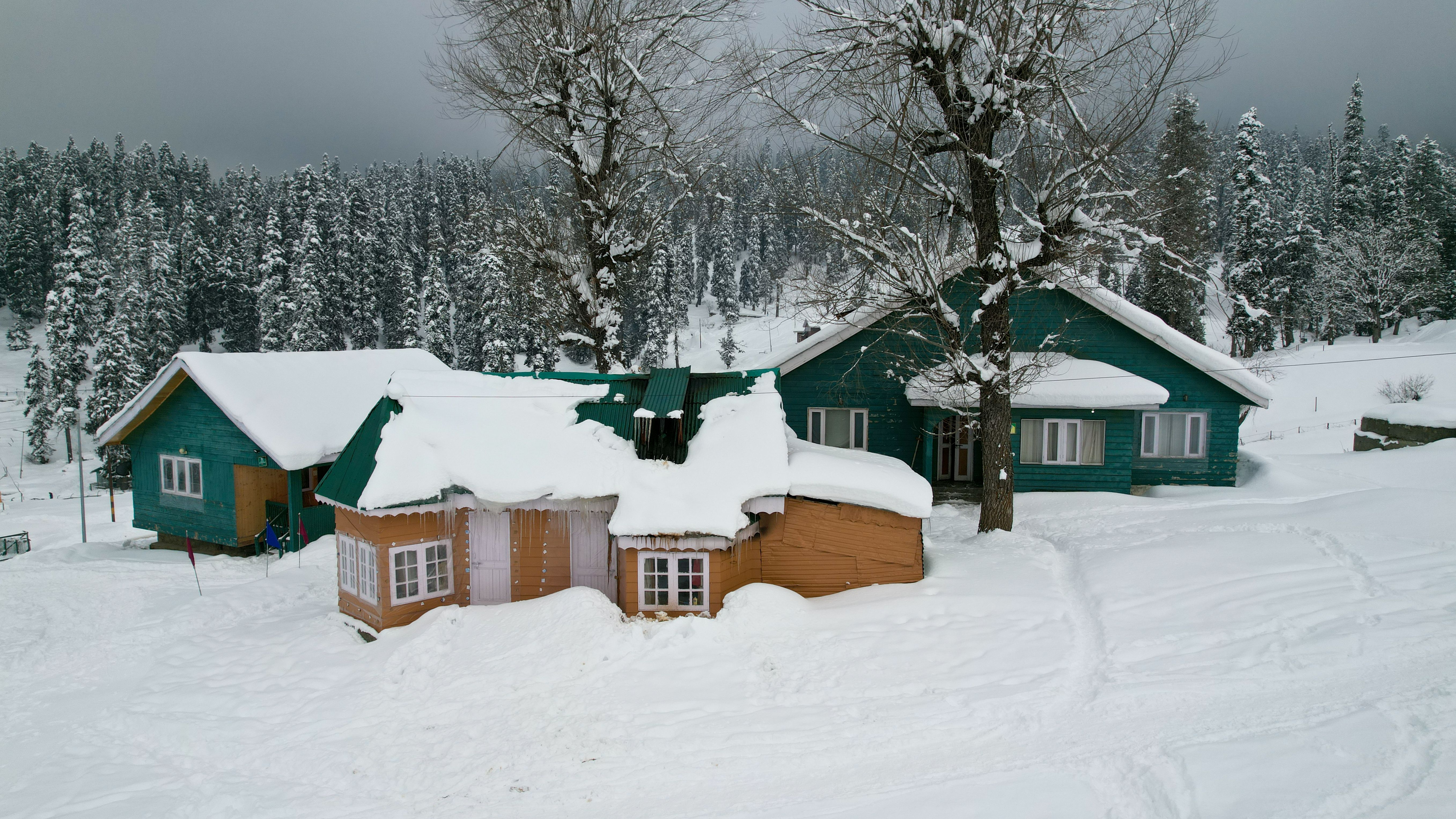 Snow Kashmir Winter Magic