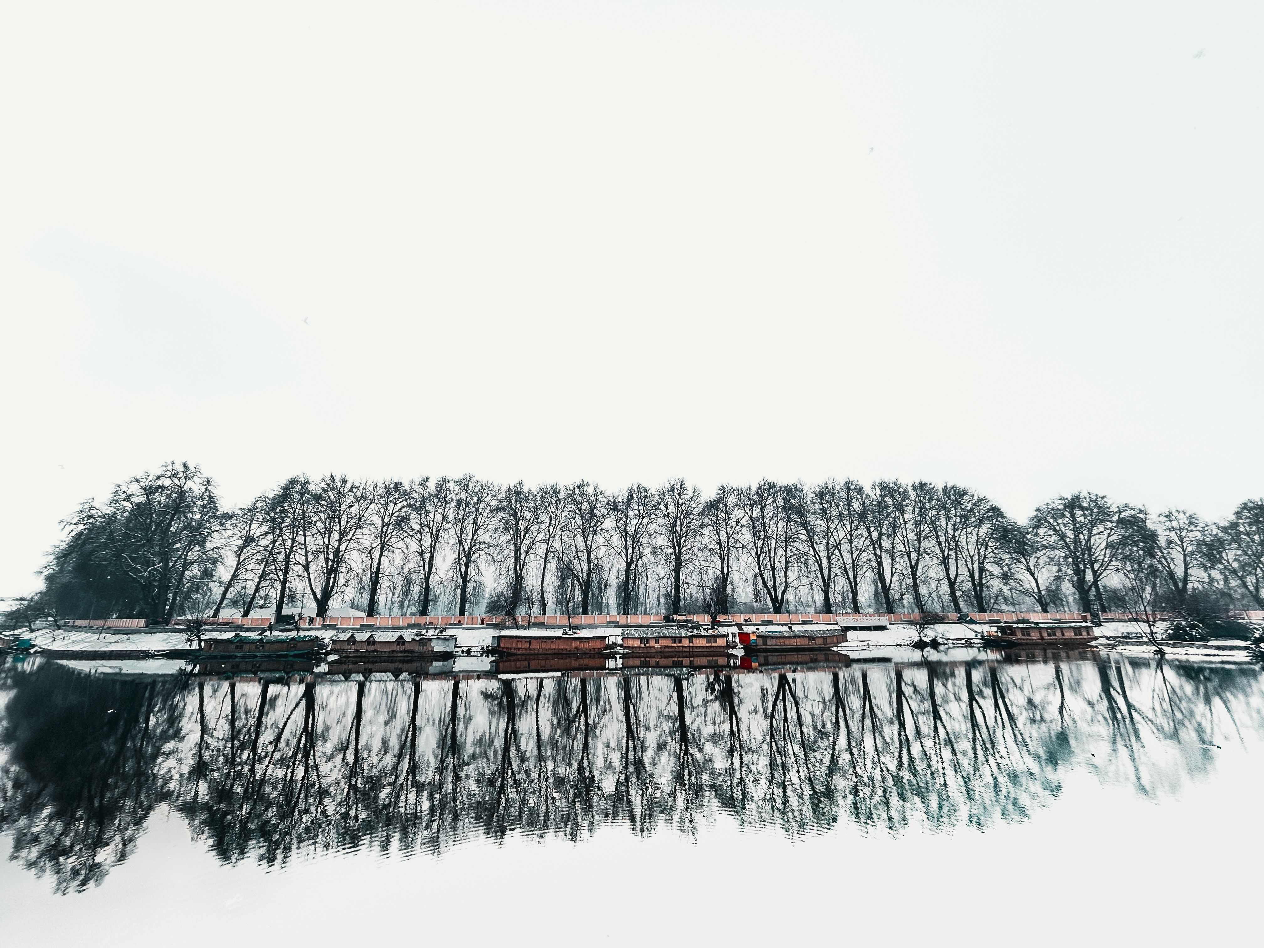 Solo Kashmir Budget Escape