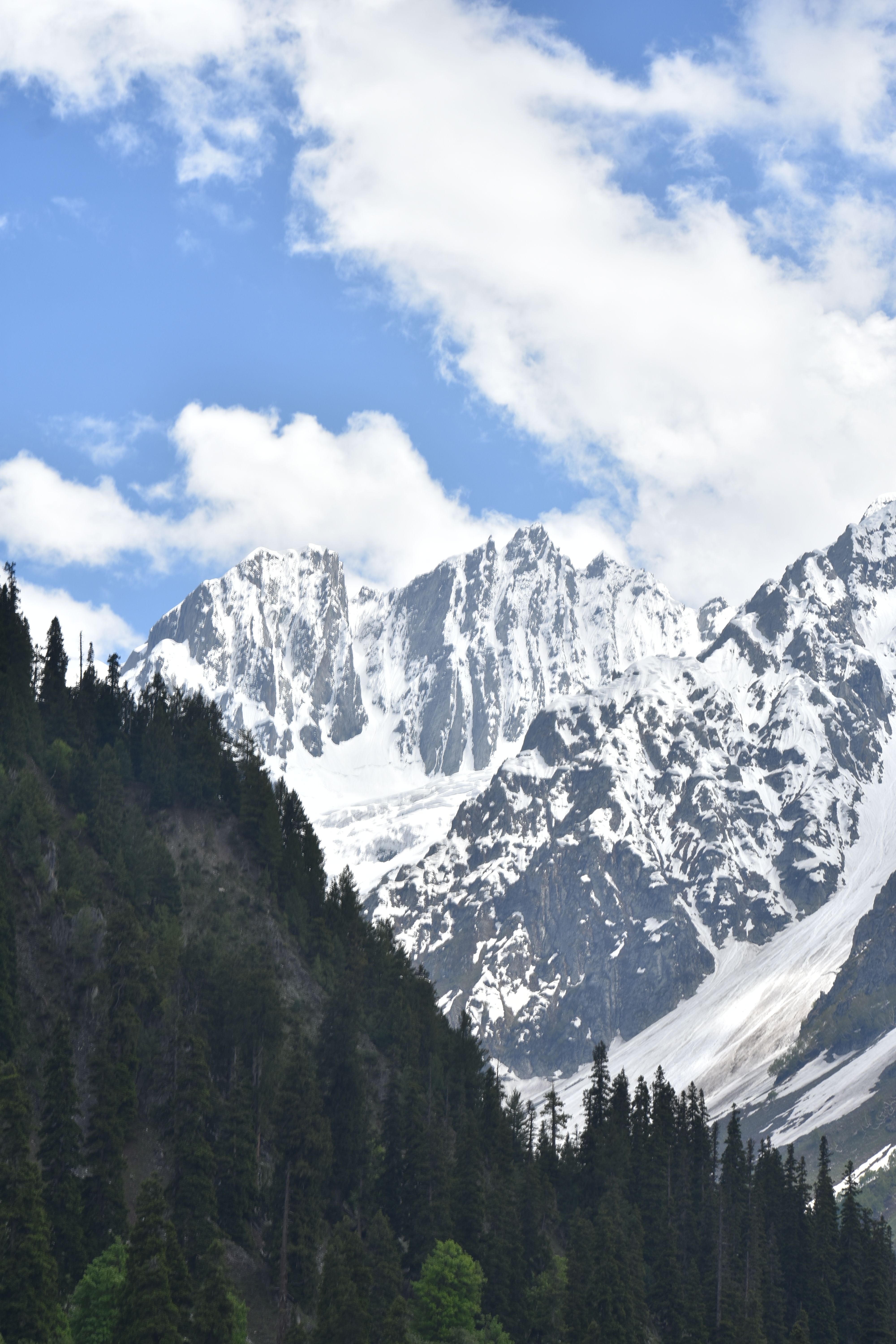 Best of Kashmir Tour